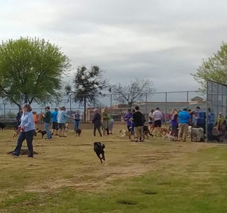 Soccer Field image 2