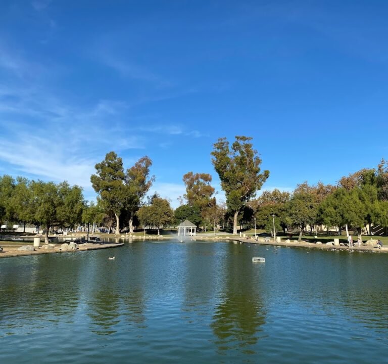 Soccer Field image 2