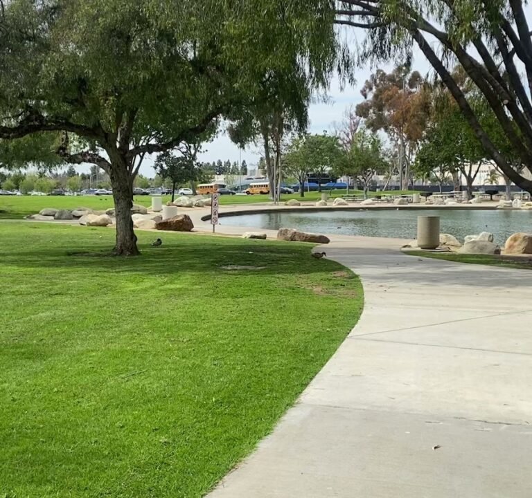 Soccer Field image 4