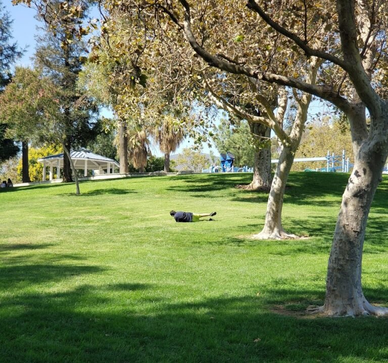 Soccer Field image 2