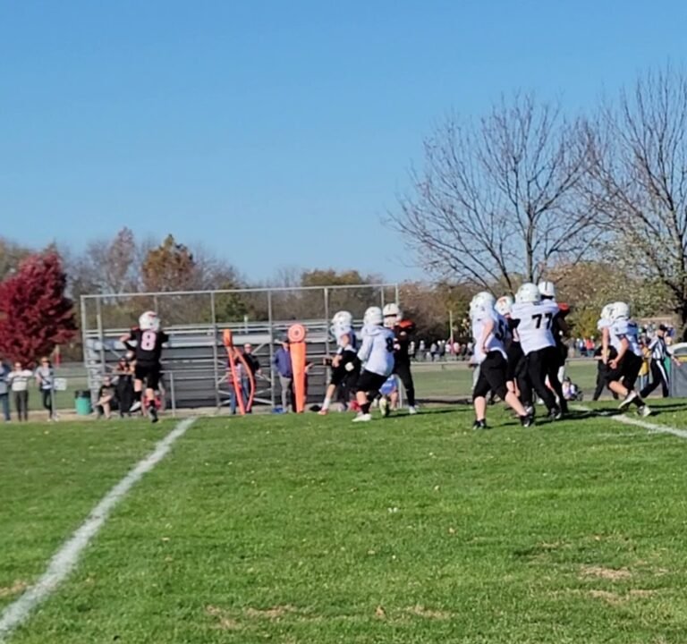 Soccer Field image 2