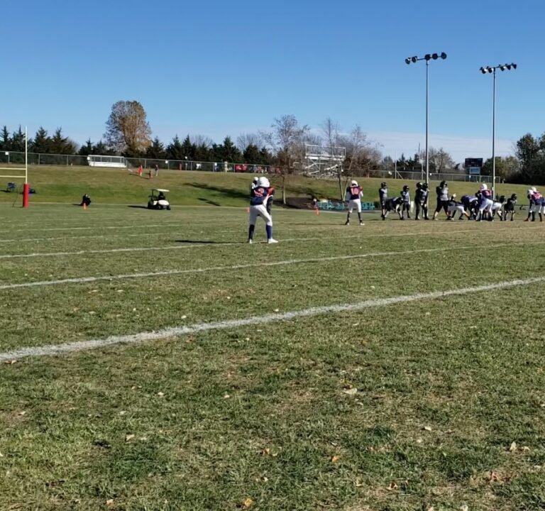 Soccer Field image 3