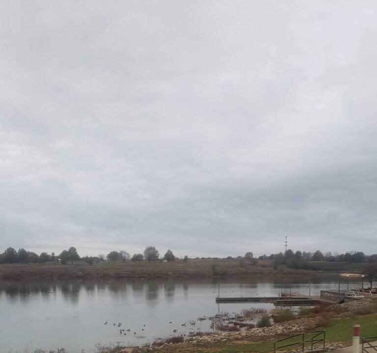 Soccer Field image 2