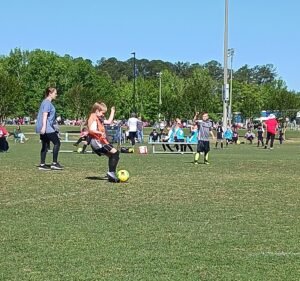 Soccer Field image 2