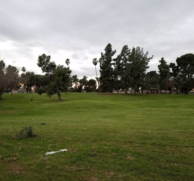 Soccer Field image 2