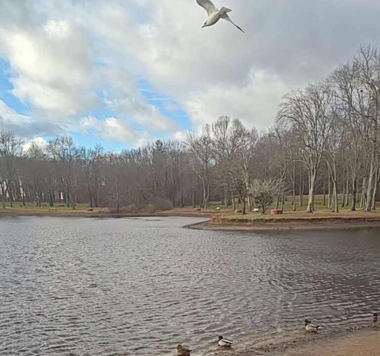 Soccer Field image 3