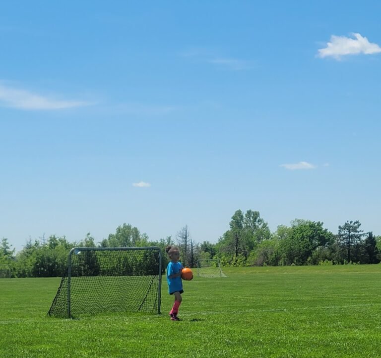 Soccer Field image 2