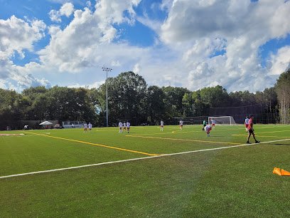 Soccer Field image 1