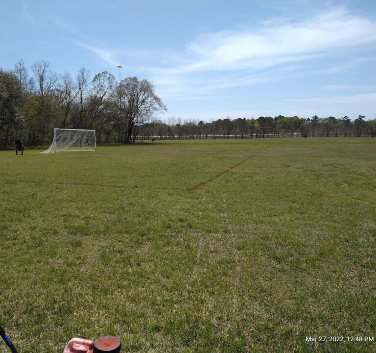Soccer Field image 2