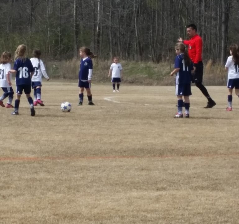 Soccer Field image 3