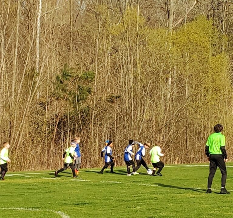 Soccer Field image 2