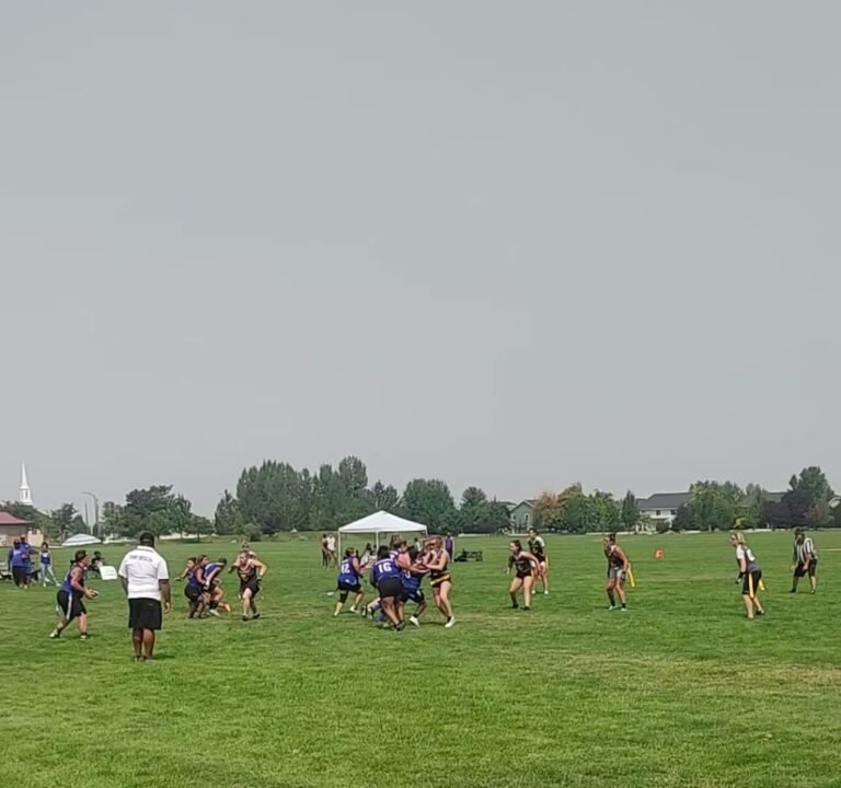 Soccer Field image 4