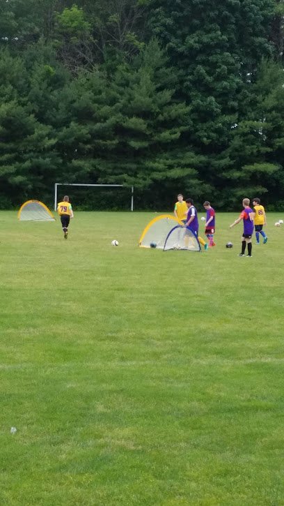 Soccer Field image 1