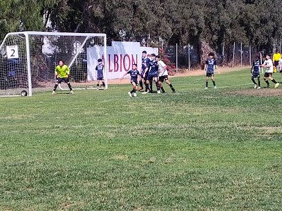 Soccer Field image 1