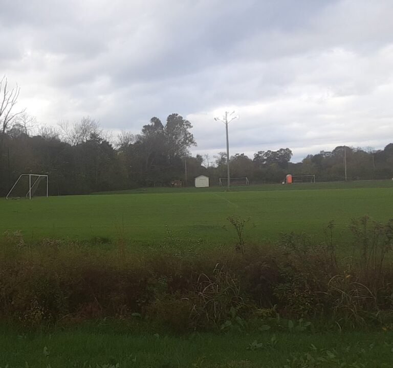 Soccer Field image 2