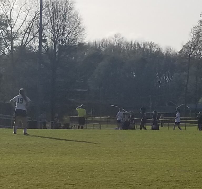Soccer Field image 2
