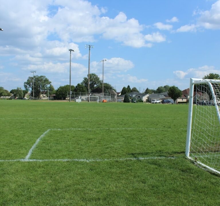 Soccer Field image 3