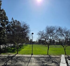 Soccer Field image 3