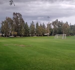 Soccer Field image 4
