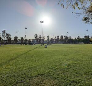 Soccer Field image 2