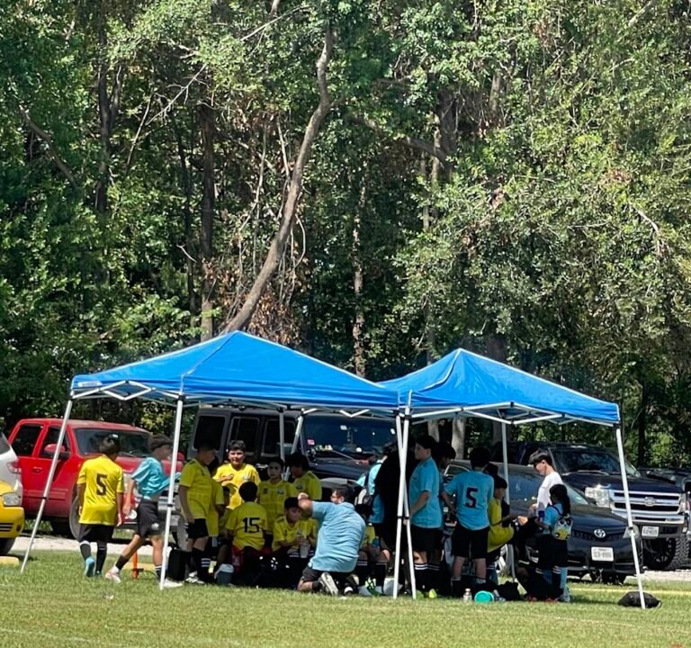 Soccer Field image 3