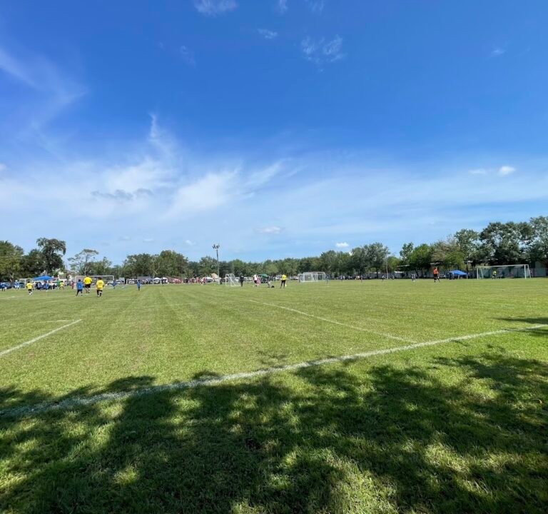 Soccer Field image 2