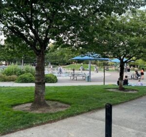 Soccer Field image 3