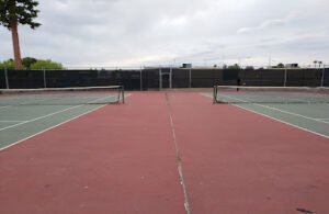 Soccer Field image 1