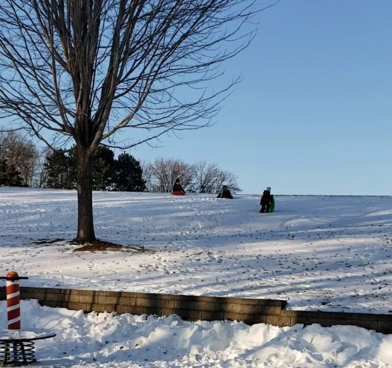 Soccer Field image 4