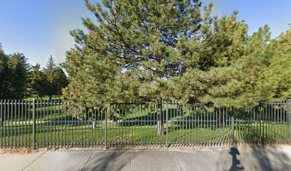 Soccer Field image 1