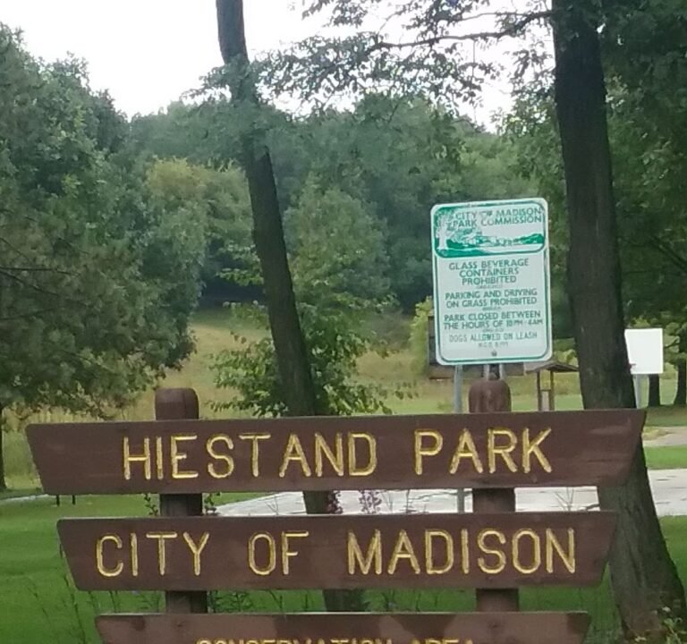 Soccer Field image 3