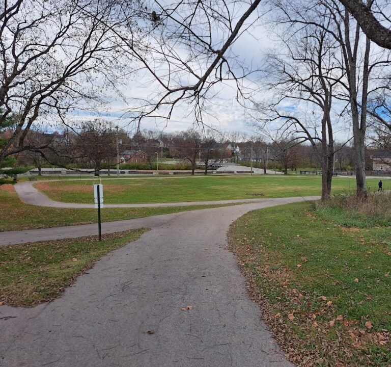 Soccer Field image 2