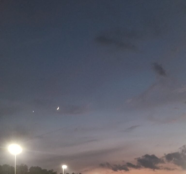 Soccer Field image 3