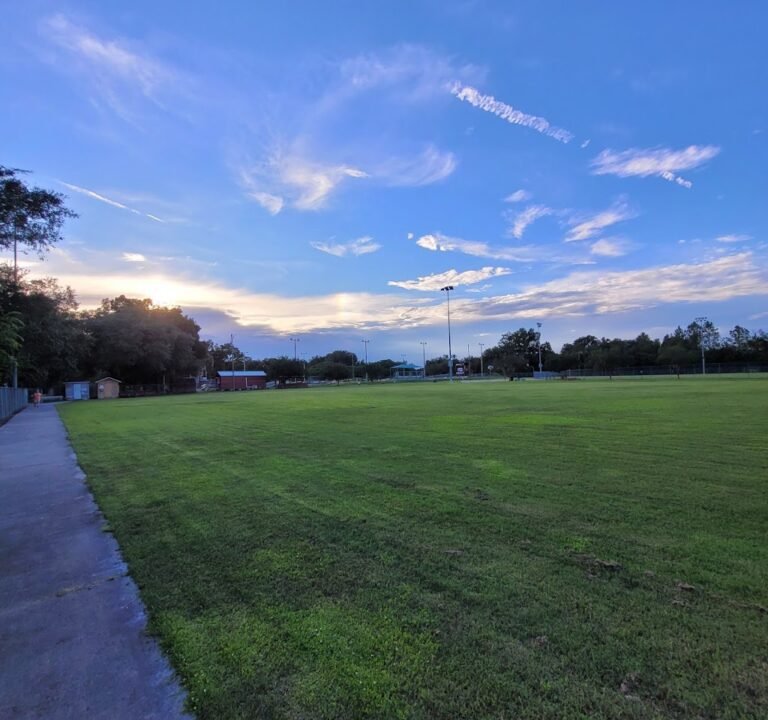 Soccer Field image 2