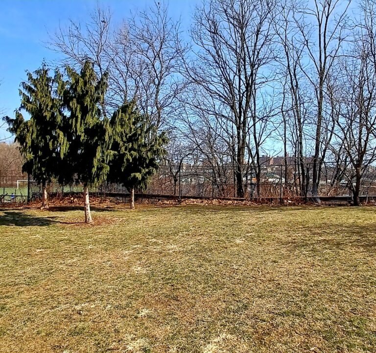 Soccer Field image 3