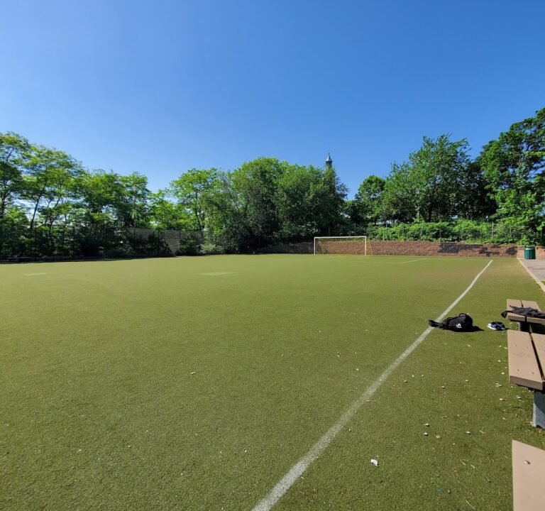 Soccer Field image 2