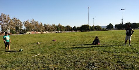 Soccer Field image 1