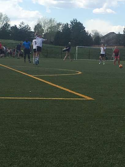 Soccer Field image 1