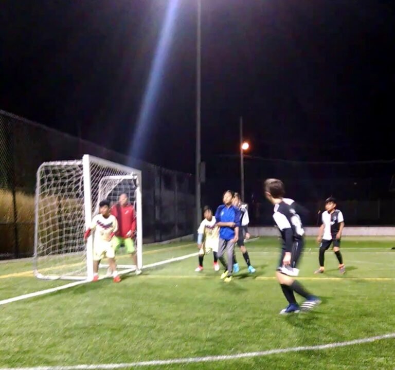 Soccer Field image 4