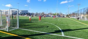 Soccer Field image 1