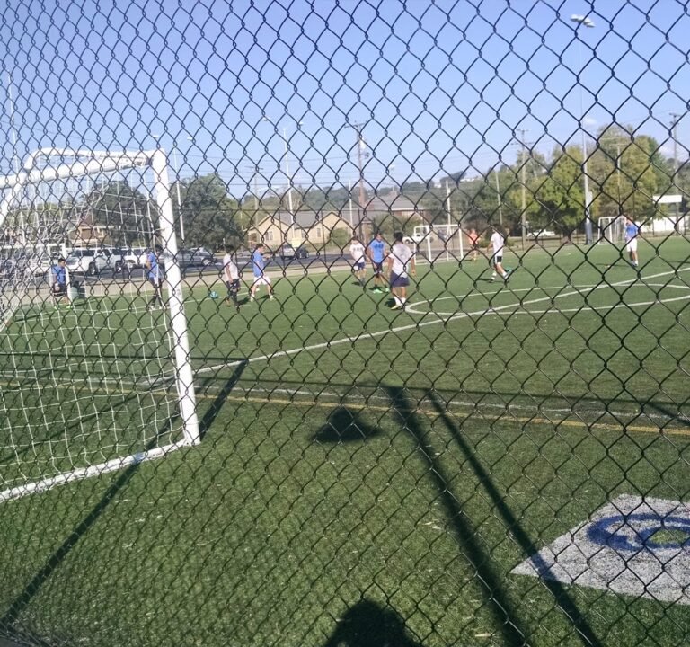 Soccer Field image 3