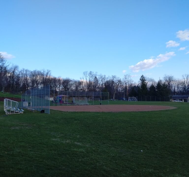 Soccer Field image 2