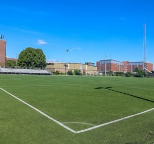 Soccer Field image 2