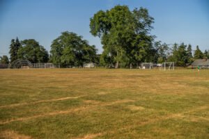 Soccer Field image 1