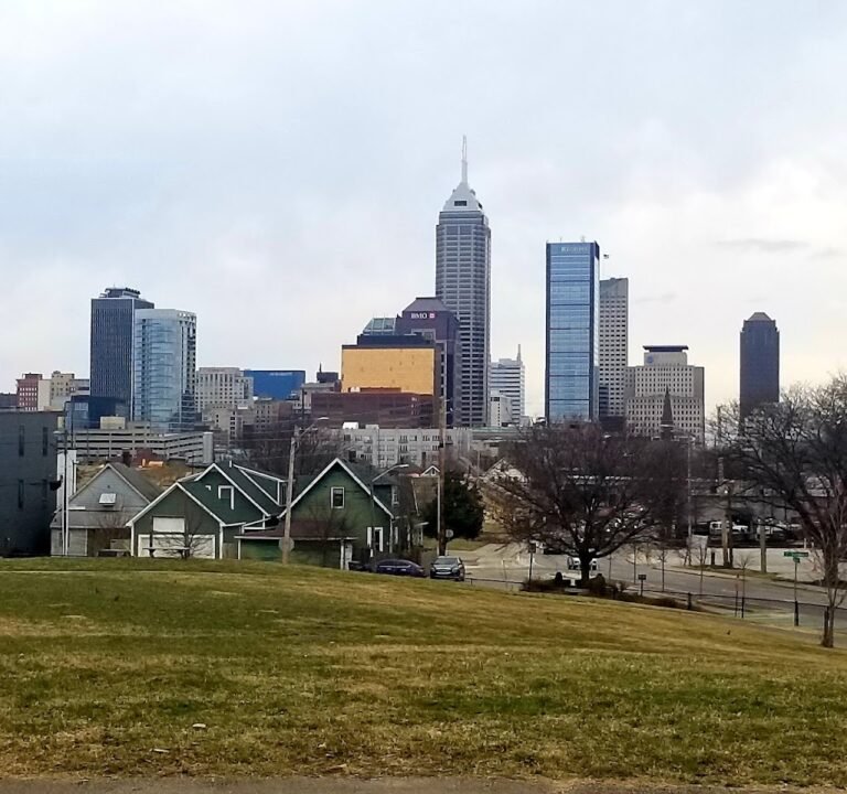 Soccer Field image 2
