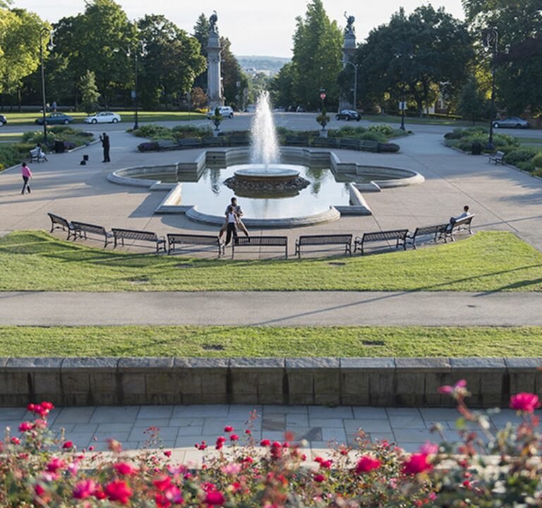 Soccer Field image 2