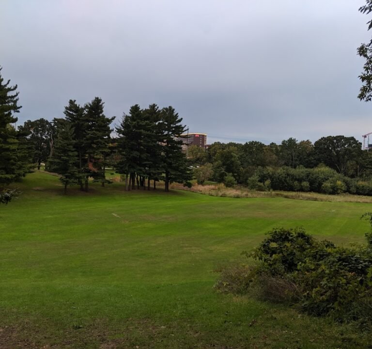 Soccer Field image 2