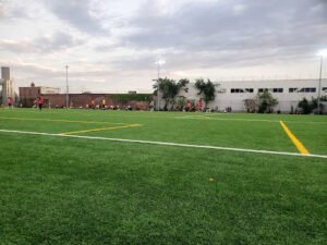 Soccer Field image 1