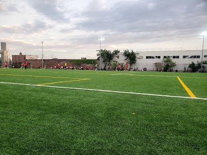 Soccer Field image 1