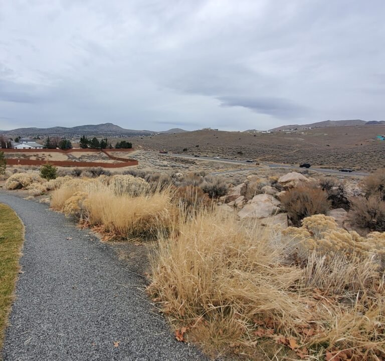 Soccer Field image 3